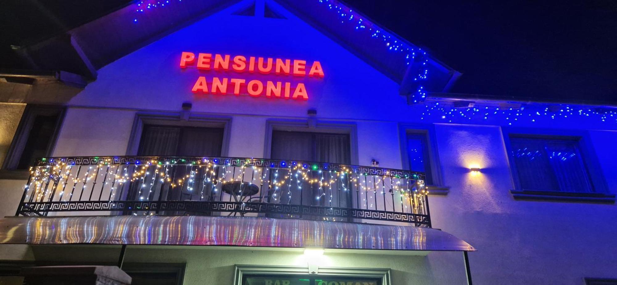 Pensiunea Antonia Sighetu Marmatiei Exterior photo